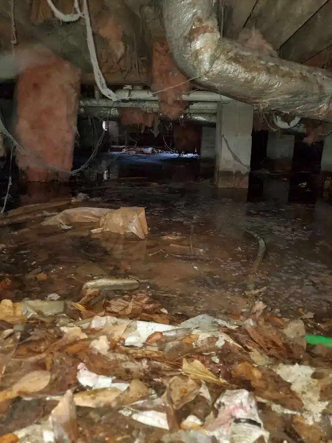 Crawl space flood assessment for Leak Detection & Repair in Marilla